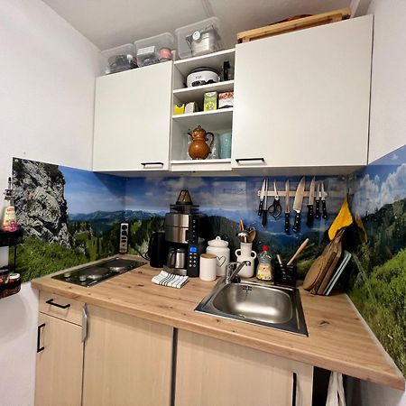 Moderne, 1-Zimmer Ferienwohnung Mit Bergblick オイ・ミッテルベルグ エクステリア 写真
